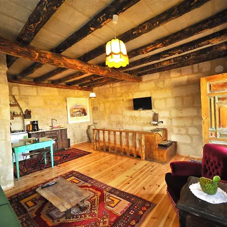 Anitya Cave House