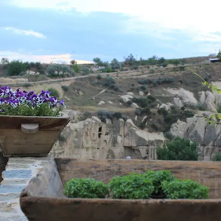 Anitya Cave House 2*