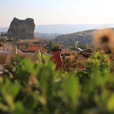 Апарт-отель Anitya Cave House Ортахисар