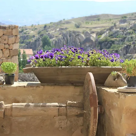 Anitya Cave House 2*