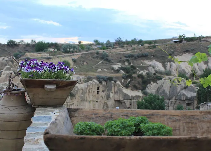 Anitya Cave House 2*