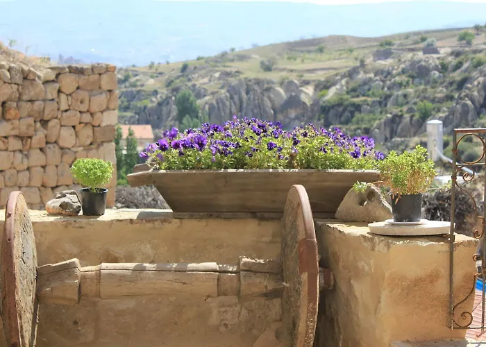 Anitya Cave House 2*